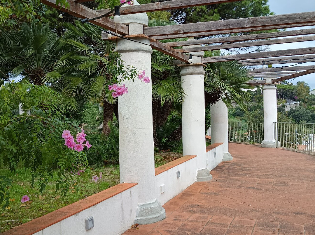 Museo Archeologico di Pithecusae景点图片