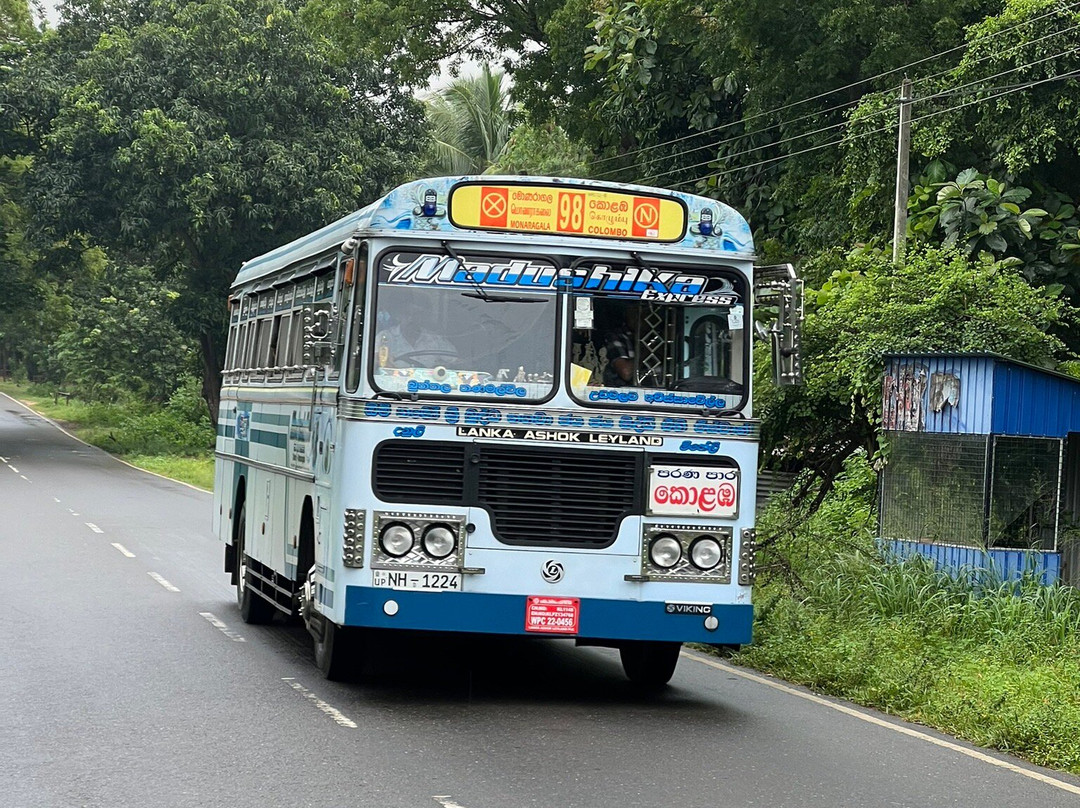 Peacock Villa Resort主图