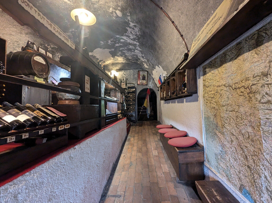 Wine Tasting Bled-布莱德必去景点