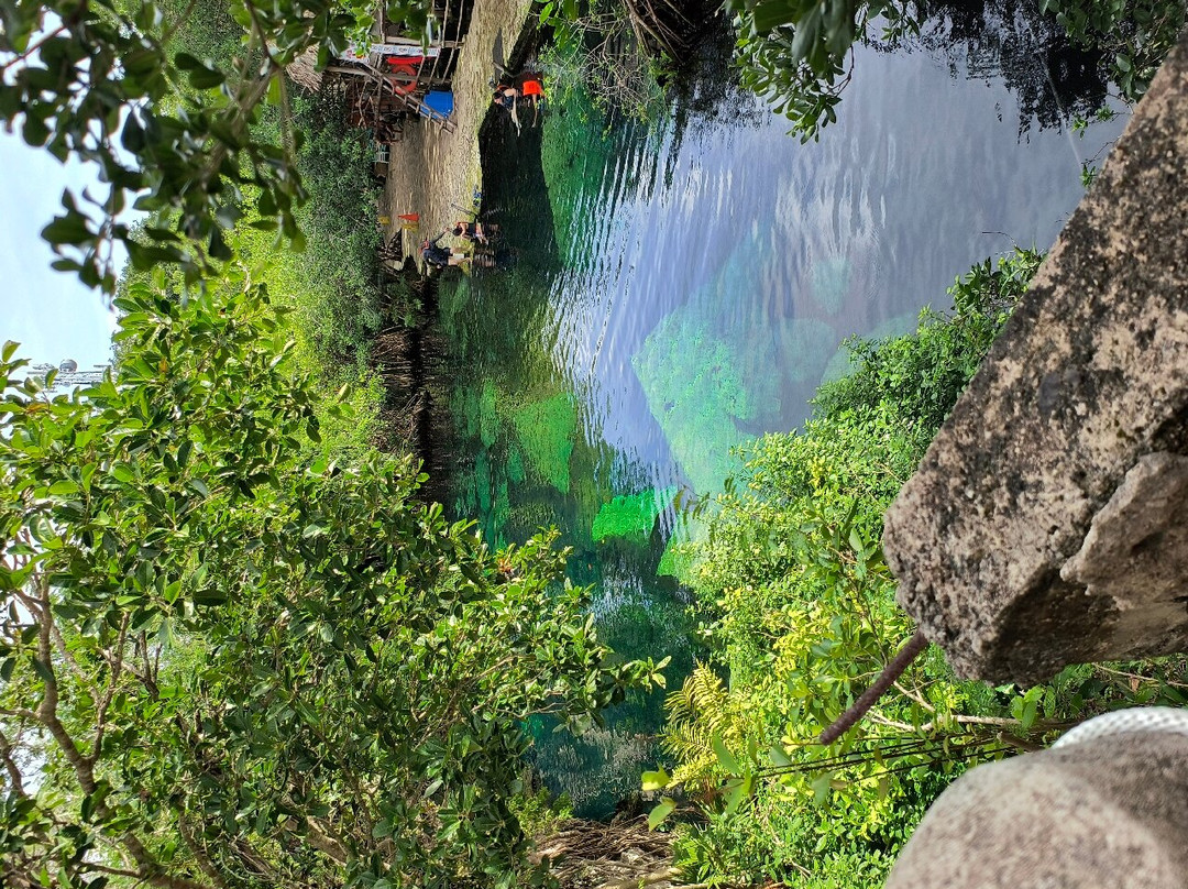 Cenote Cristalino景点图片