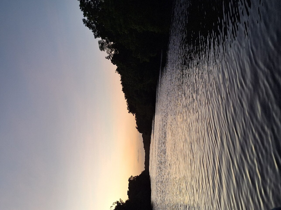 Nanan's Caroni Bird Sanctuary Tours-Caroni必去景点