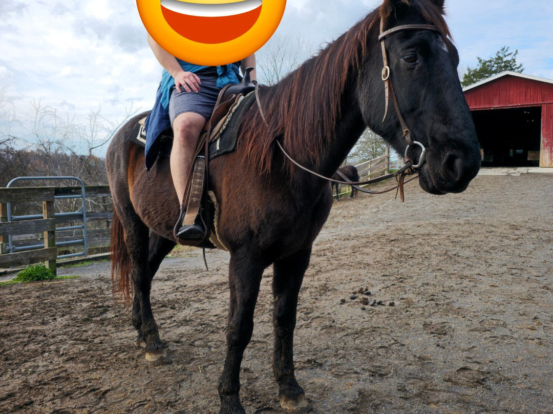 Smoky Mountain Deer Farm & Exotic Petting Zoo-塞维尔维尔必去景点