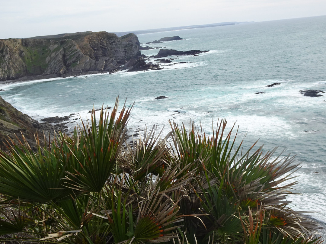 Parque Natural do Sudoeste Alentejano e Costa Vicentina-阿尔加威必去景点