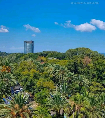 North Peak Ethiopia Tours-巴哈尔达尔必去景点