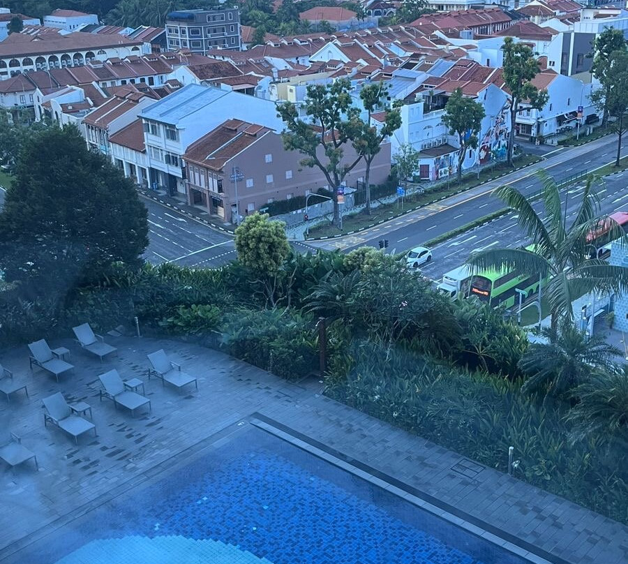 庄家大酒店主图