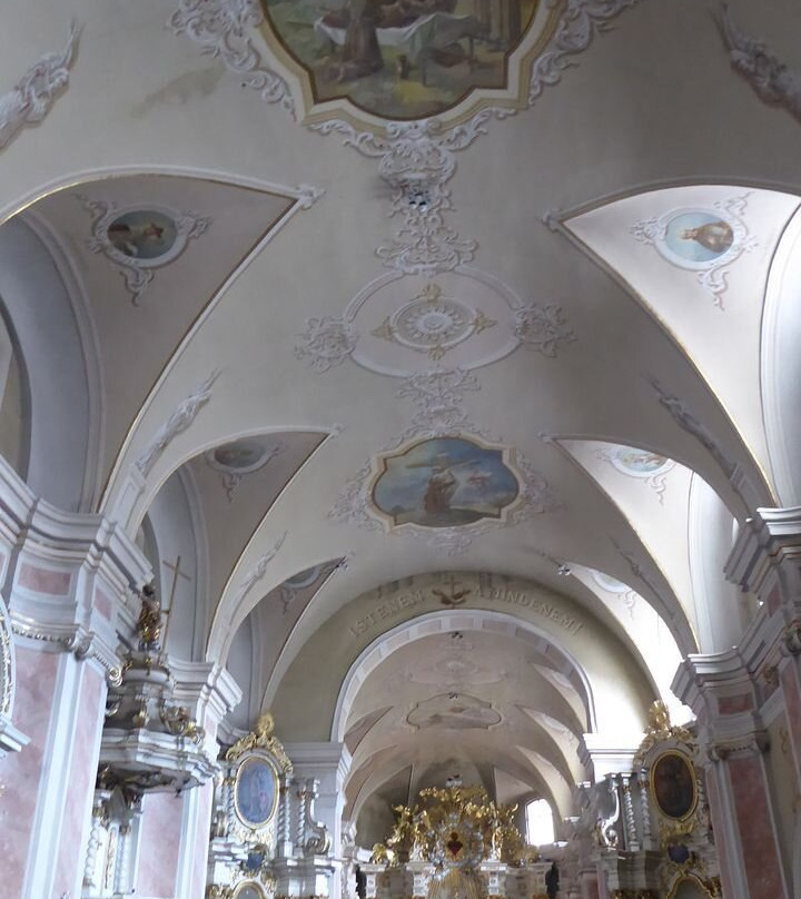 Franciscan Church景点图片