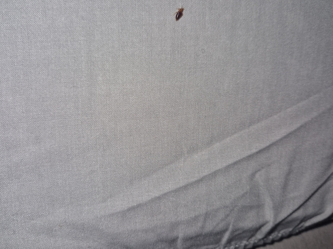 Hospedaxe Carragal主图