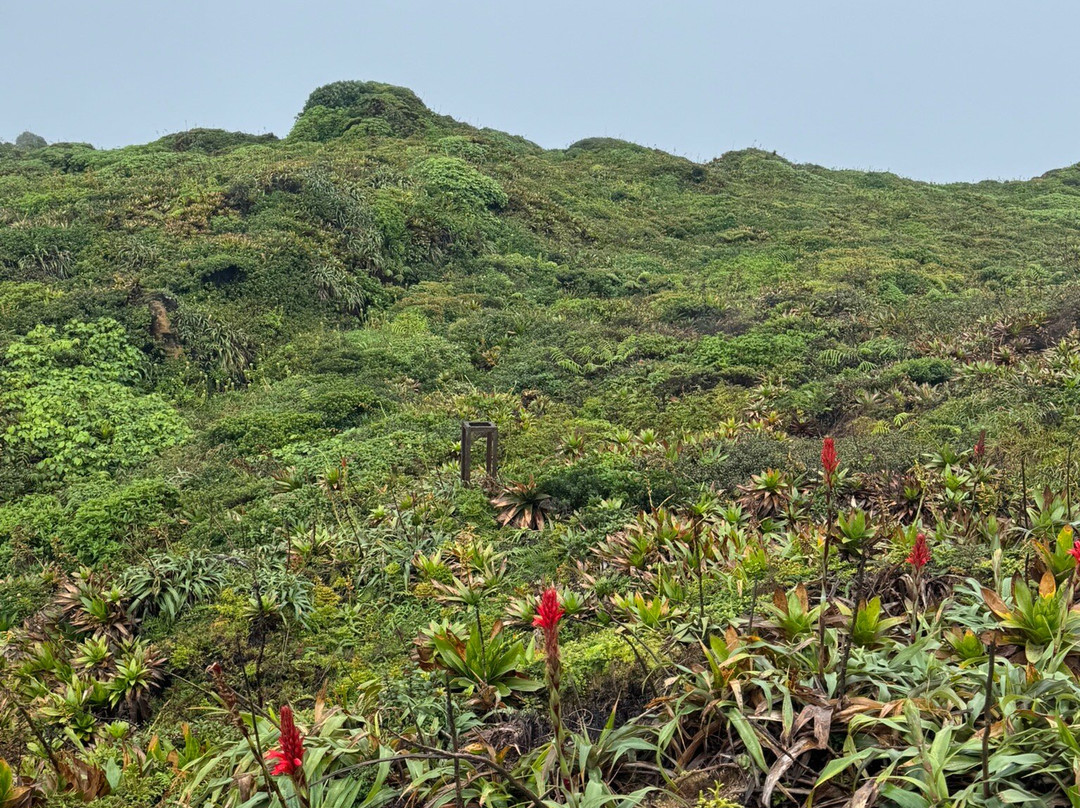Symbiose Caraibes-Saint-Claude必去景点