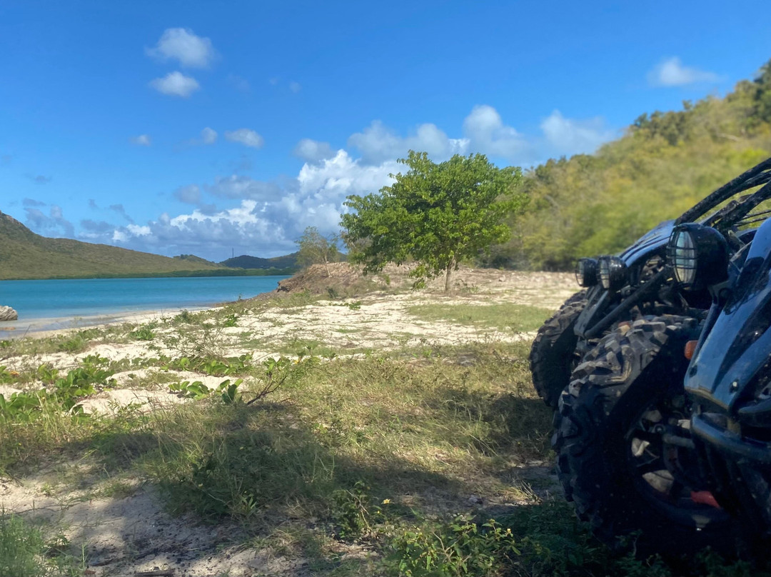 268 Buggies-Jennings必去景点