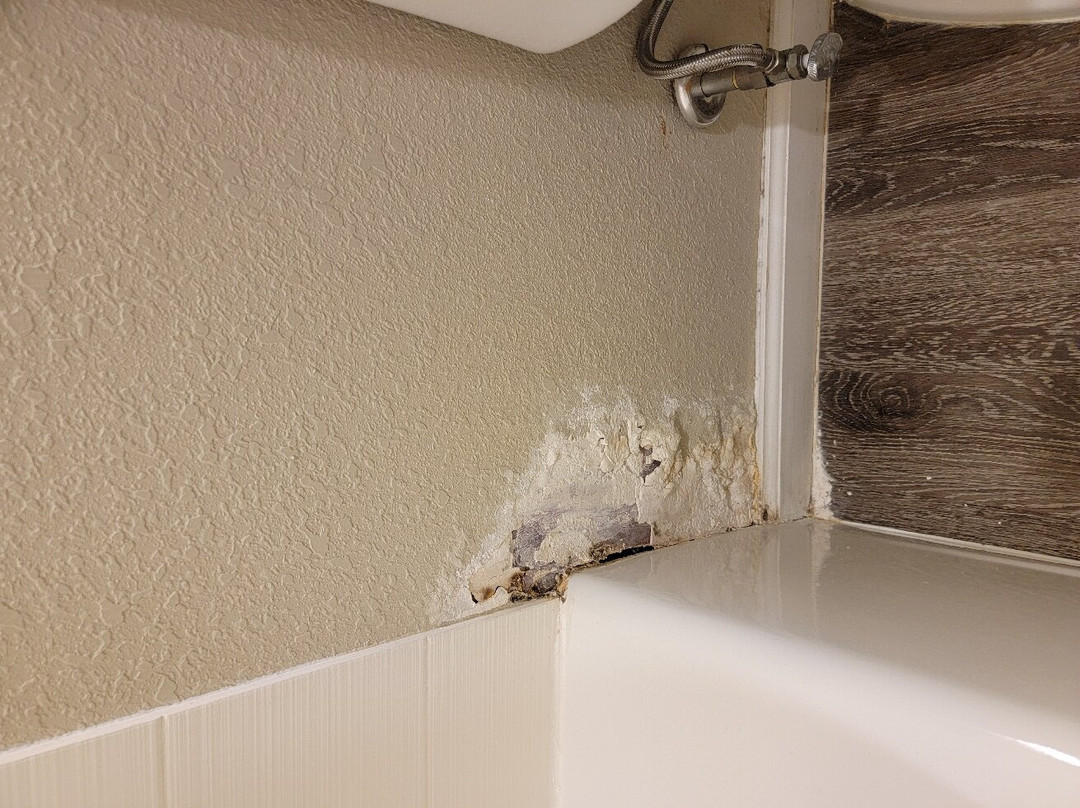 TownePlace Suites Charleston Mt. Pleasant主图