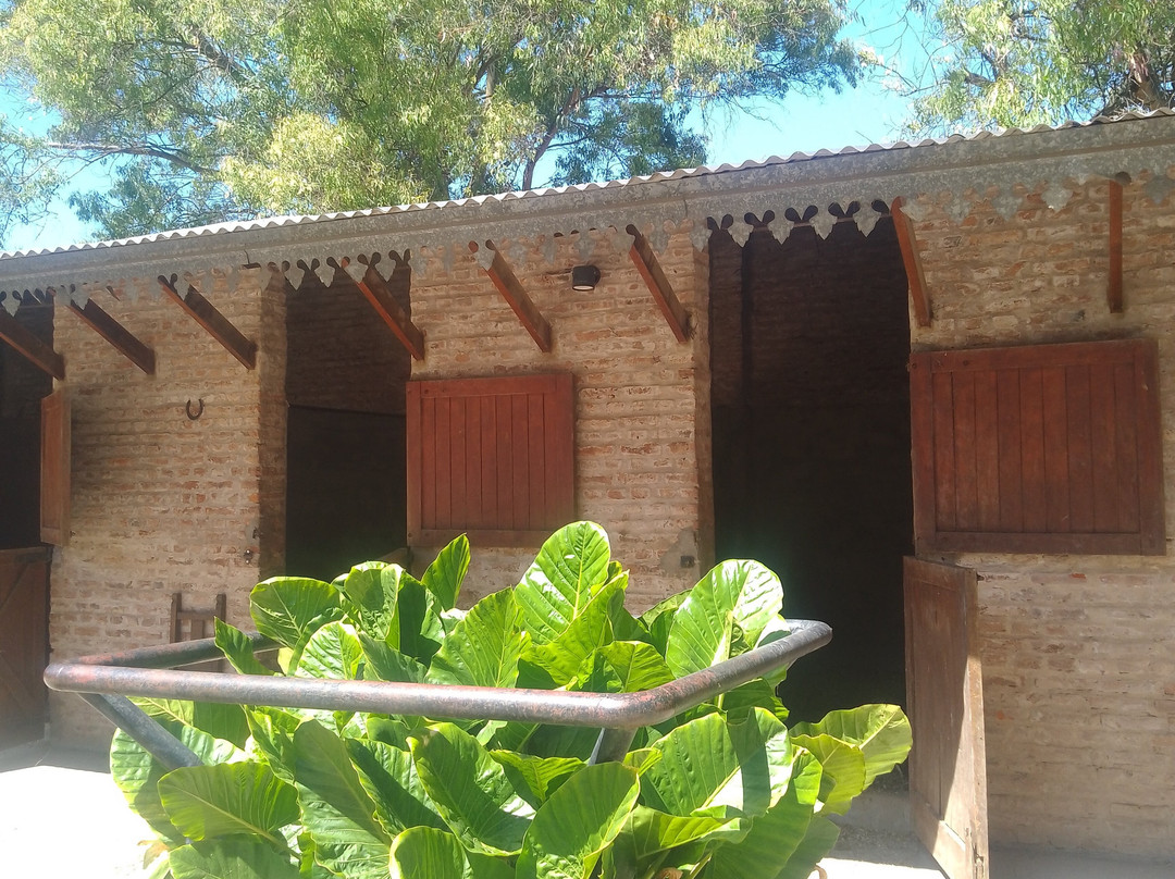 Horse Riding Lessons In Argentina-Zelaya必去景点