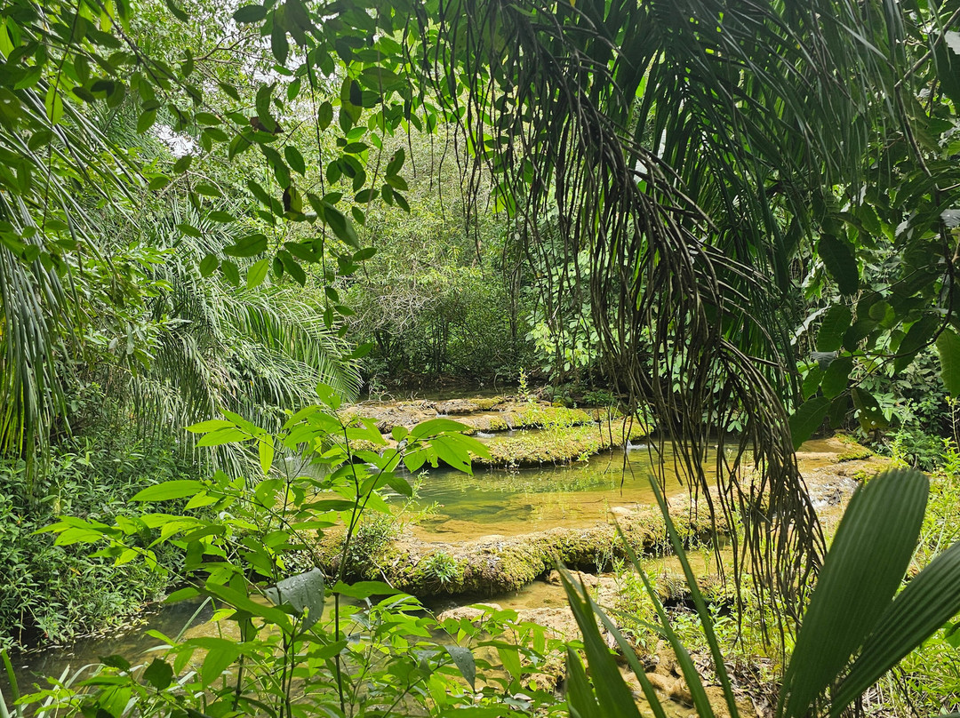 Cachoeiras do Rio do Peixe-Rio Negro必去景点