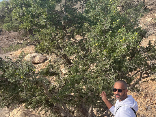 Sun Surf Yoga Beach Holiday-阿加迪尔必去景点