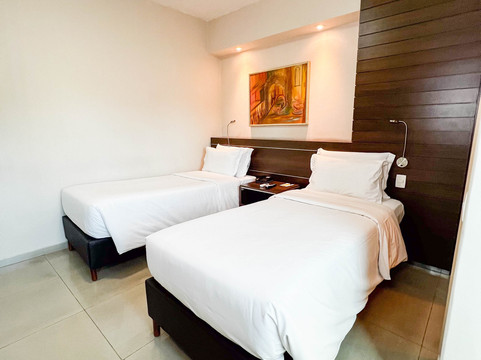 卢尔德皇家中心酒店主图