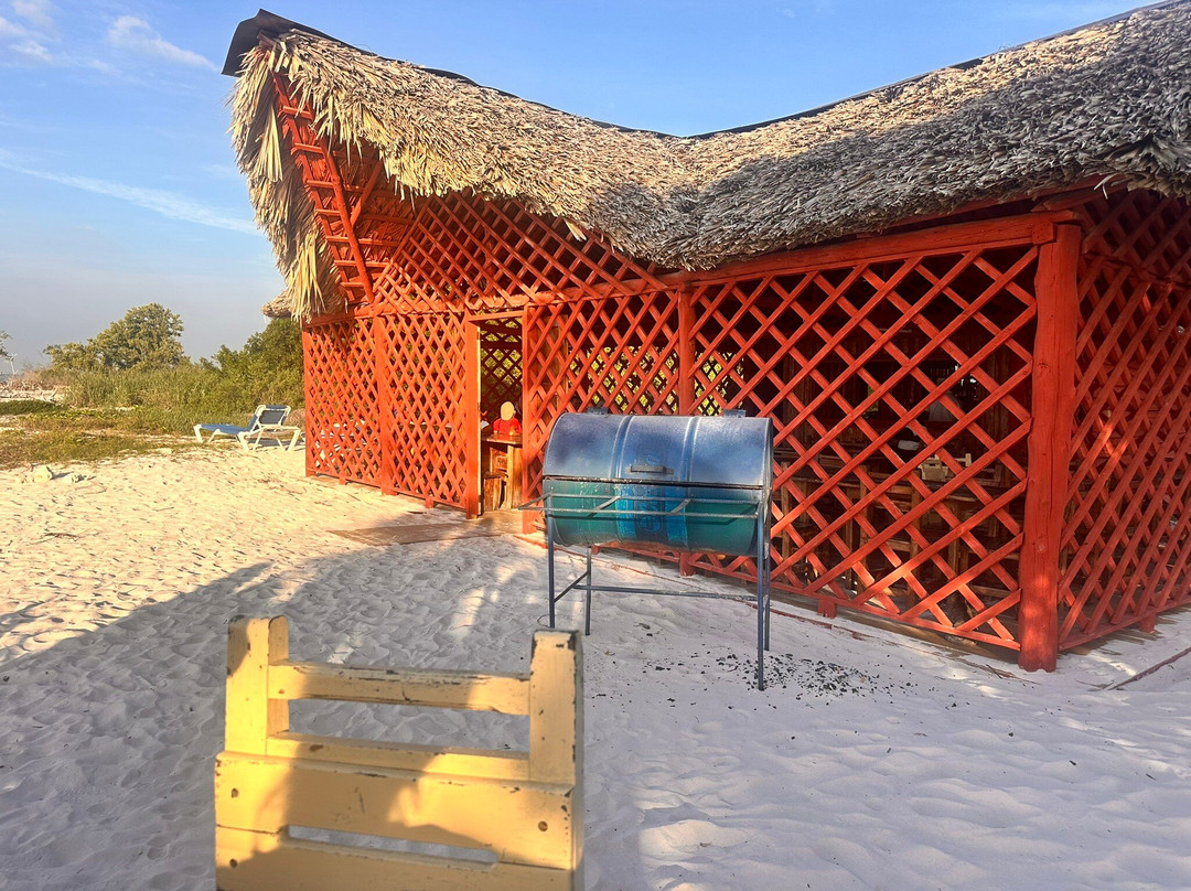 Cayo Jutías景点图片
