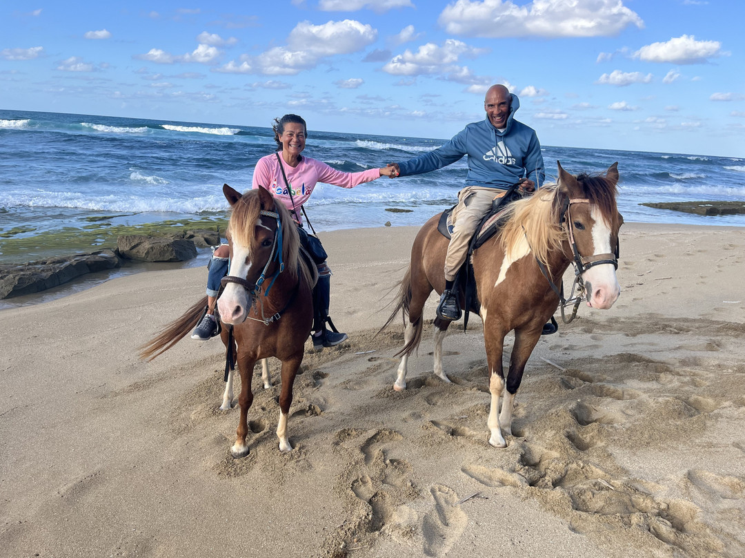 Tropical Trail Rides - Isabela-Isabela必去景点
