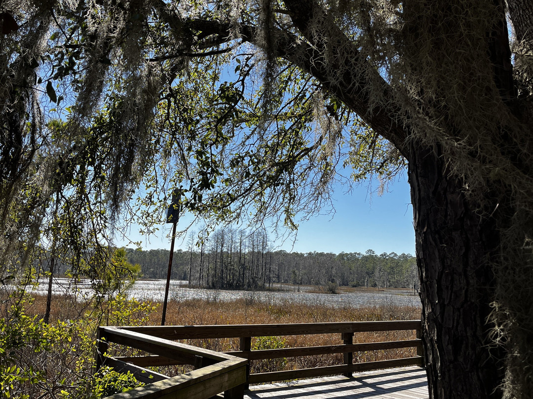 Goethe State Forest-Dunnellon必去景点