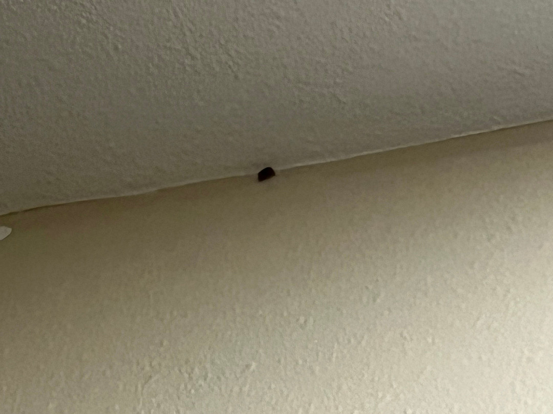 La Quinta Inn & Suites By Wyndham Marshall主图