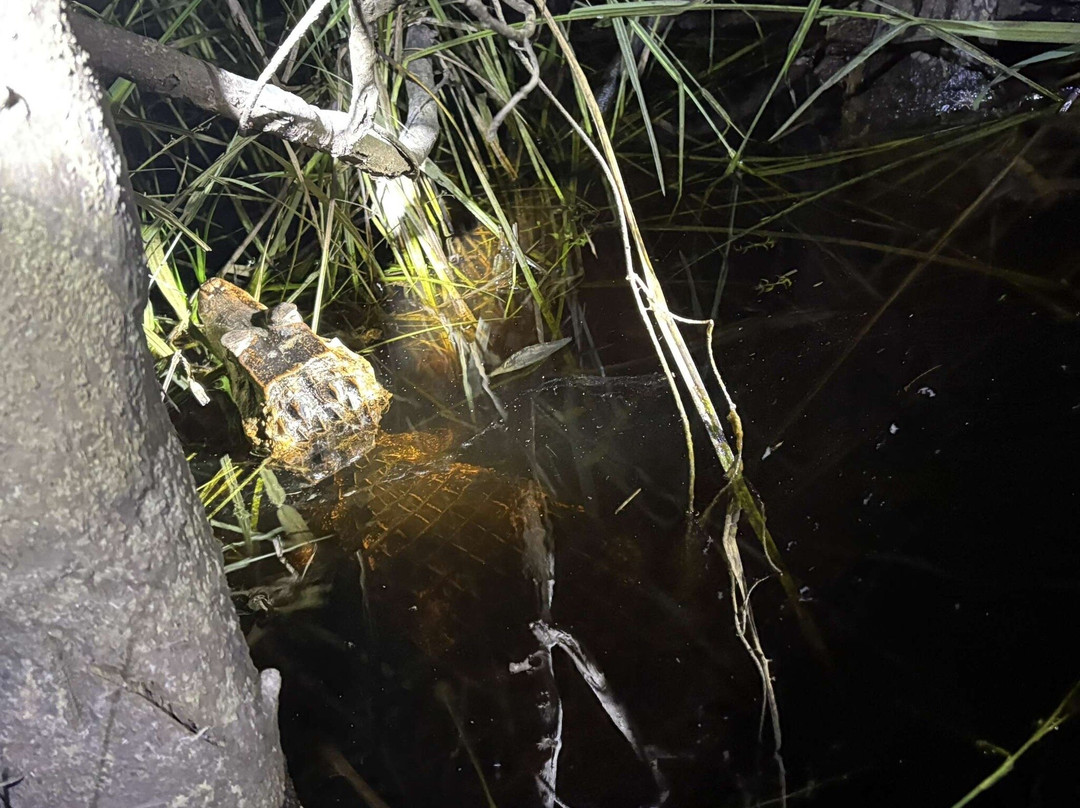 Kaw-Arrondissement of Cayenne必去景点