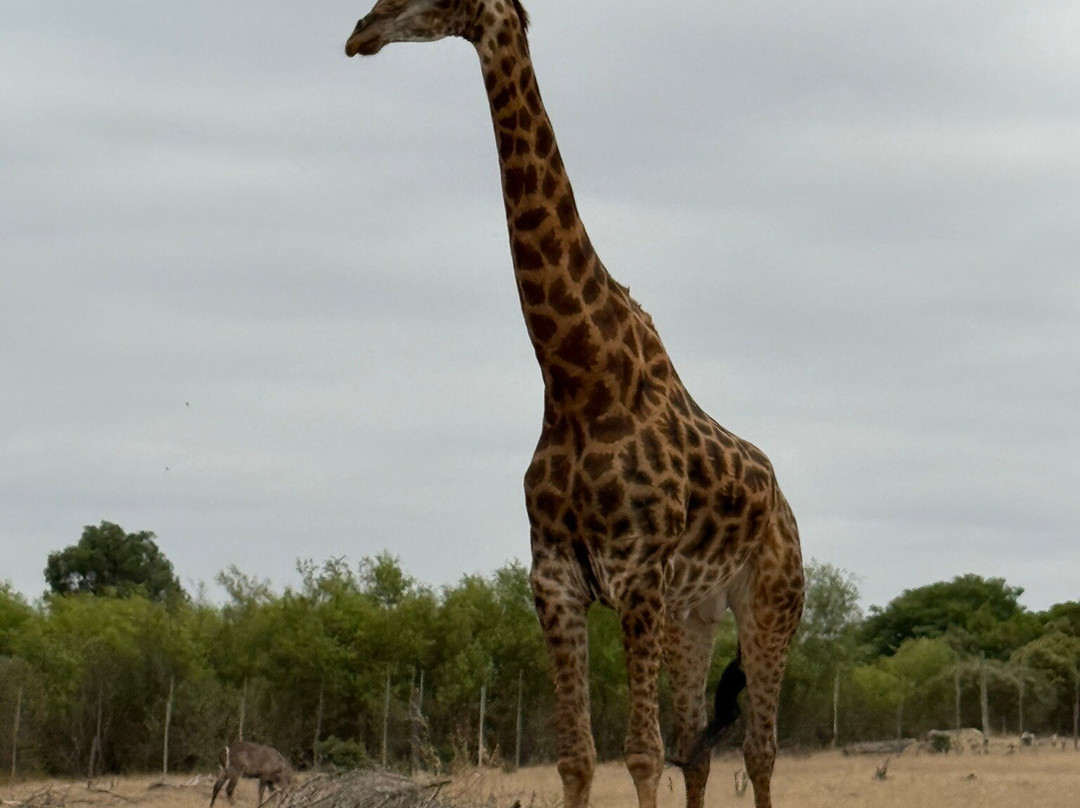 Villiera Wines-Koelenhof必去景点