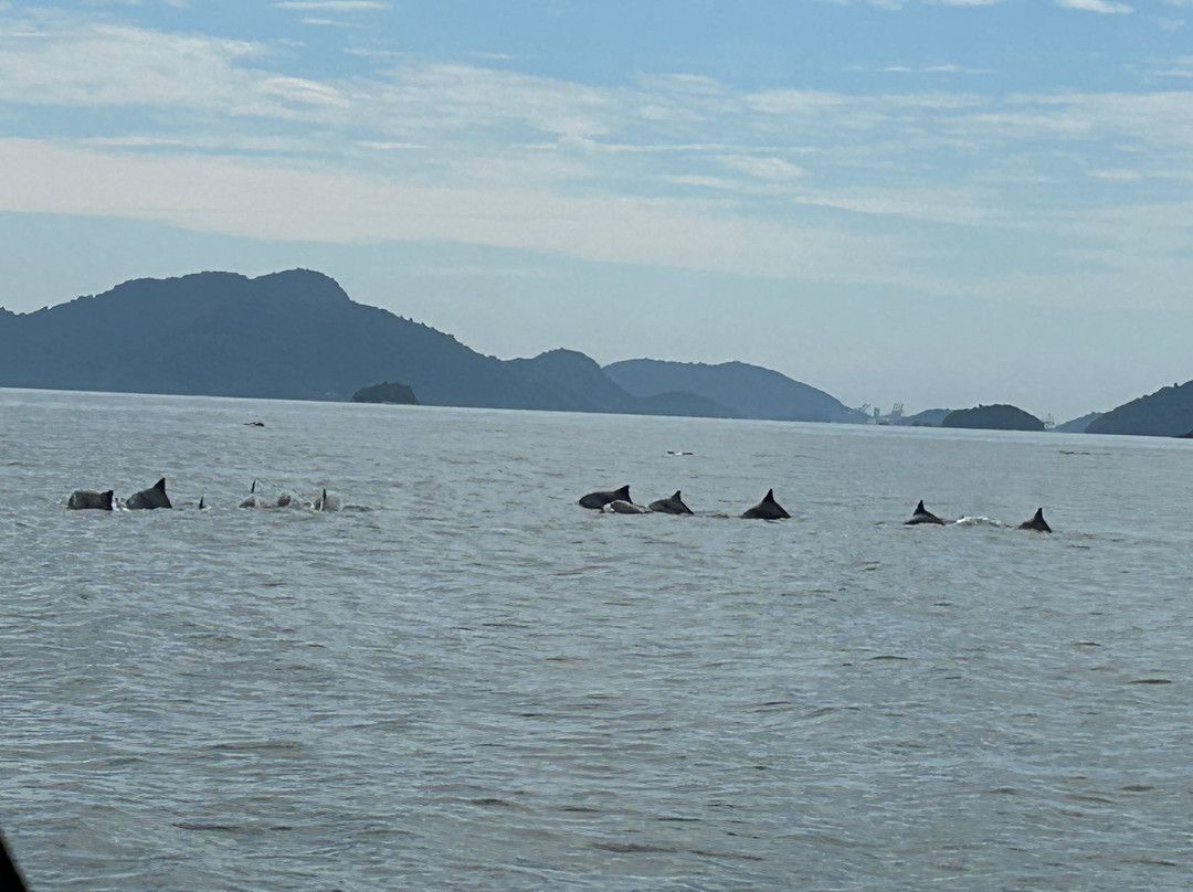 Instituto Boto Cinza-曼加拉蒂巴必去景点