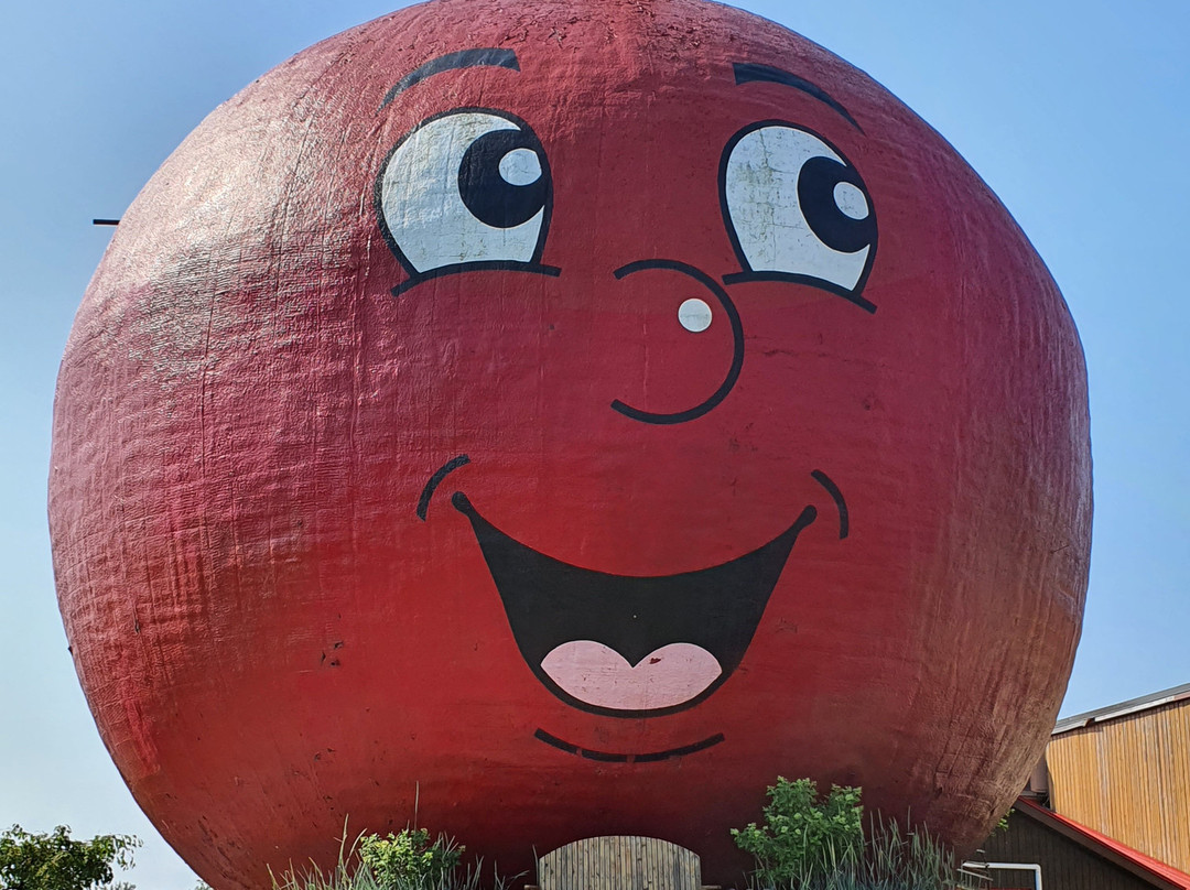 The Big Apple景点图片