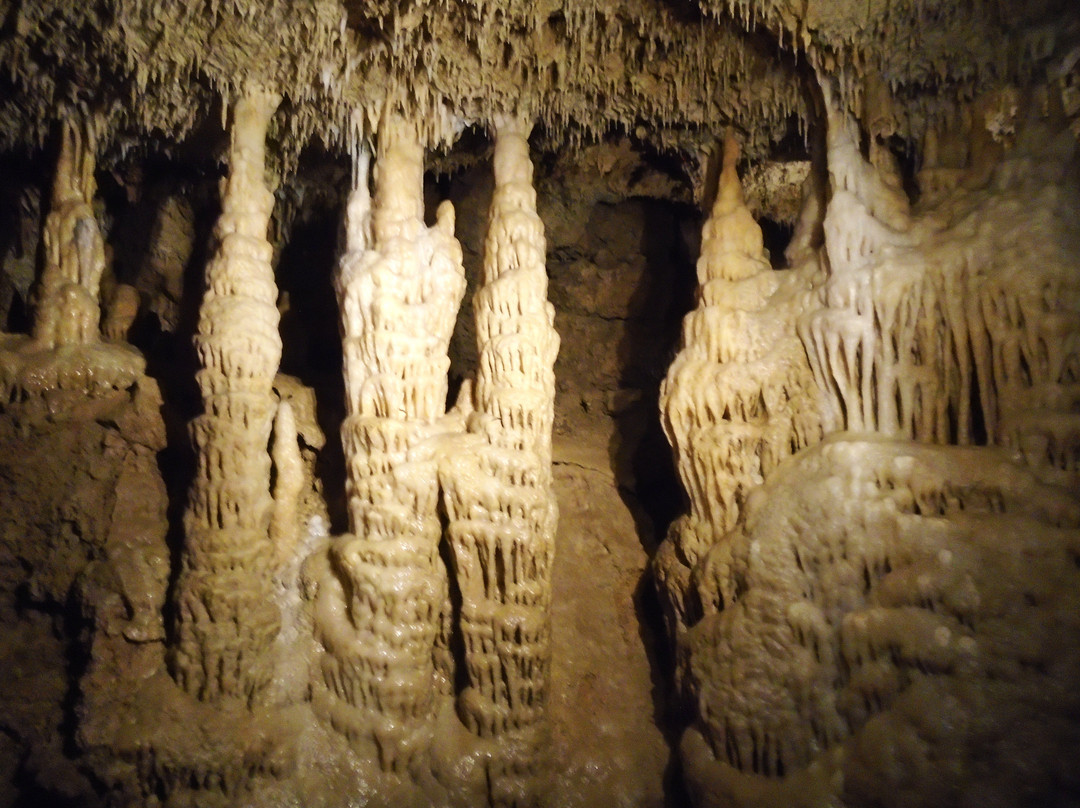 Grotte de Lastournelle景点图片