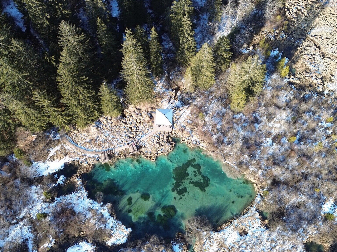 Zelenci Nature Reserve景点图片