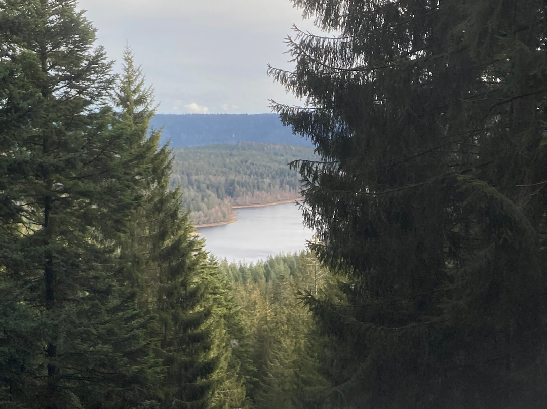 Bergschloessl Herrenwies主图