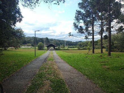 Parque Tingui-库里提巴必去景点