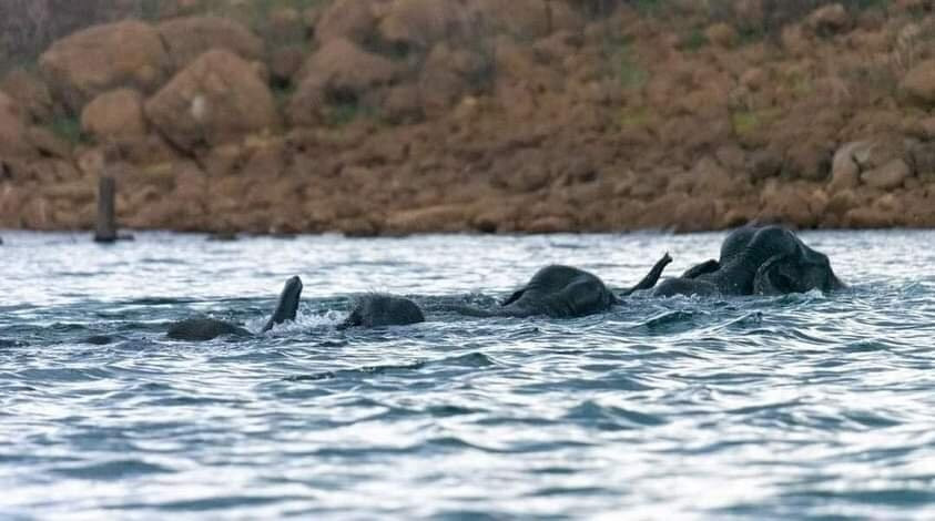 Hotel Lake Jay主图