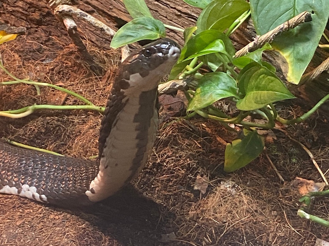 Ballarat Wildlife Park-巴拉瑞特必去景点