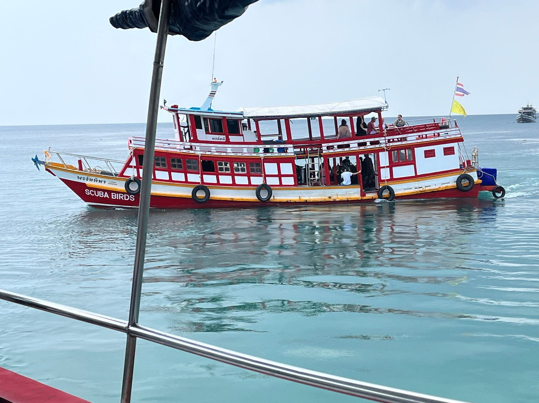 Scuba Birds International Dive Center-涛岛必去景点