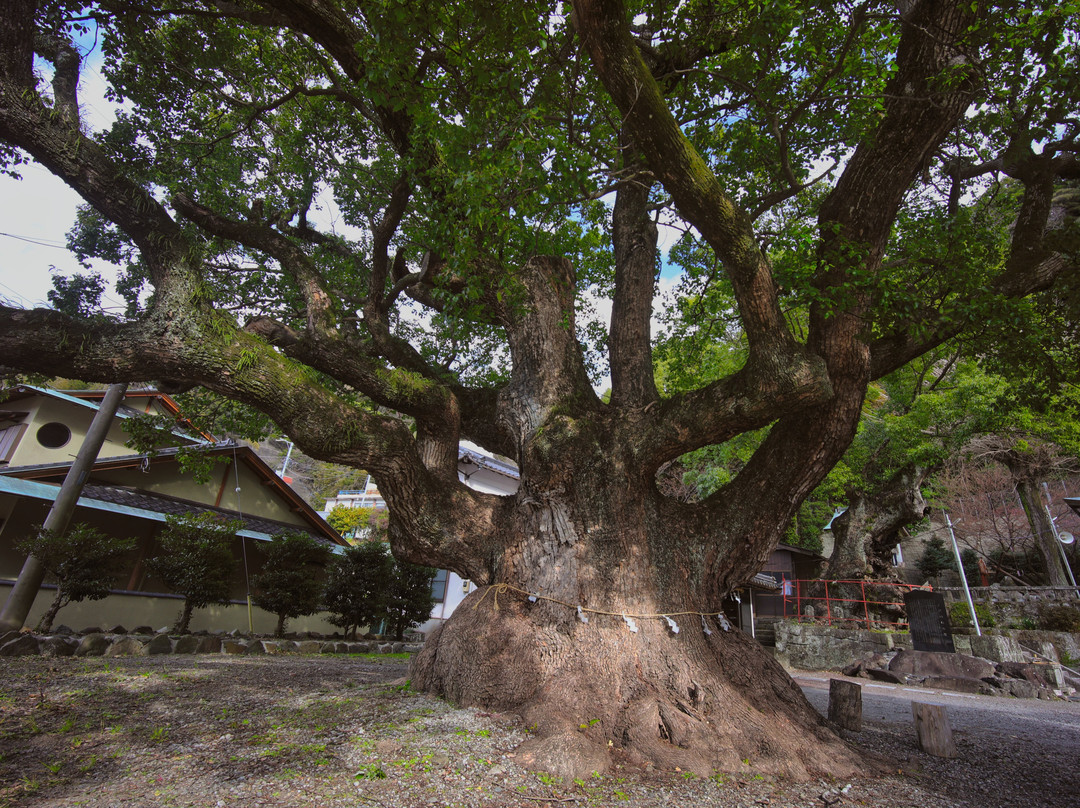 Toi Shrine-伊豆市必去景点