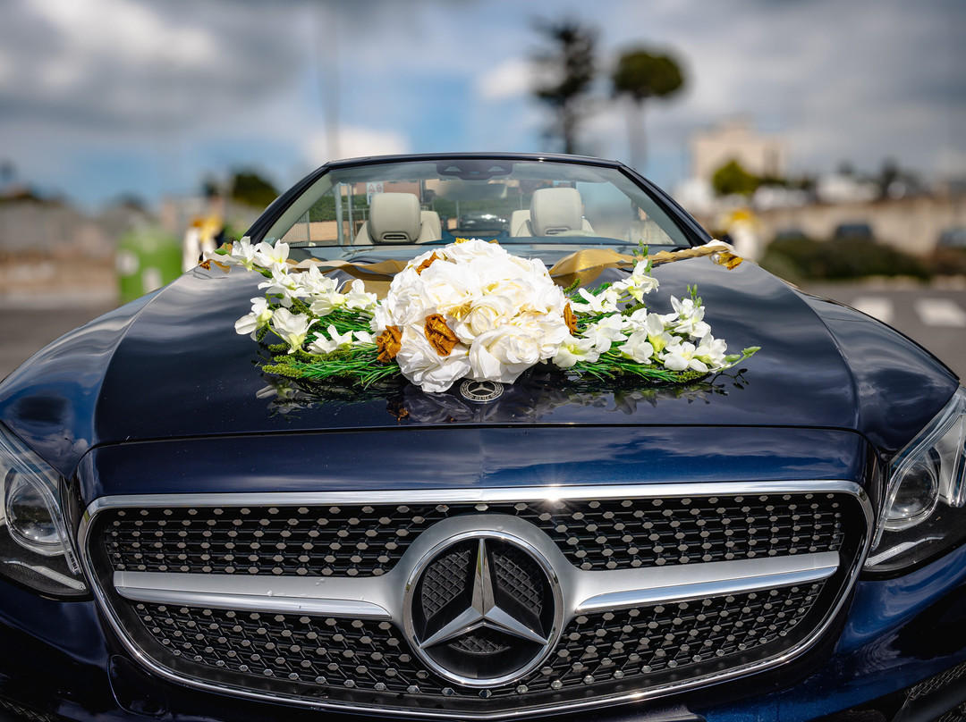 Rim-tours-罗马必去景点