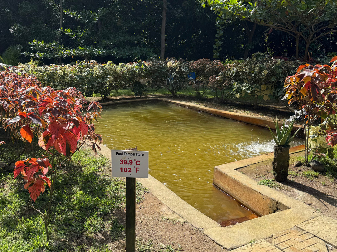 Bambooze Sulphur Baths-Soufriere必去景点