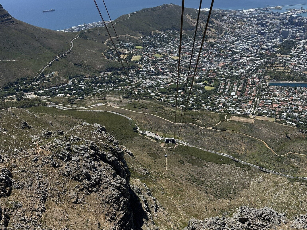 Point Africa Travel and Tours-开普敦中心区必去景点