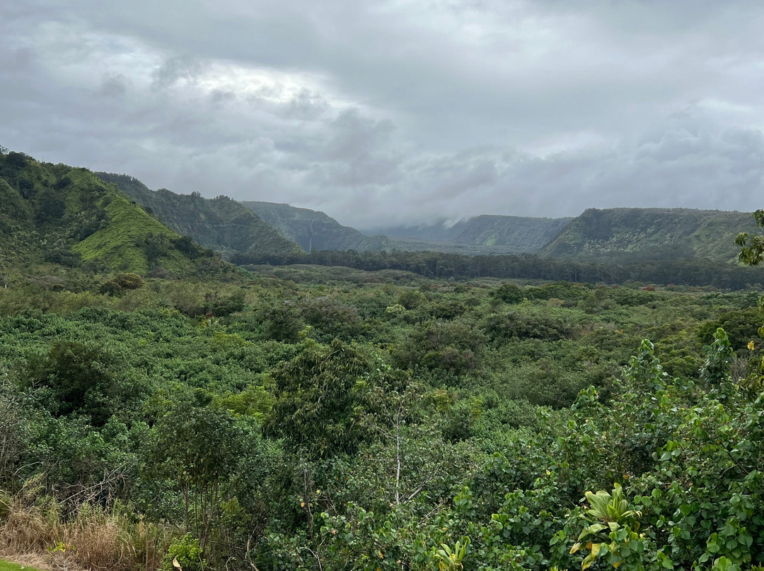Wailua Valley State Wayside Park-库拉必去景点