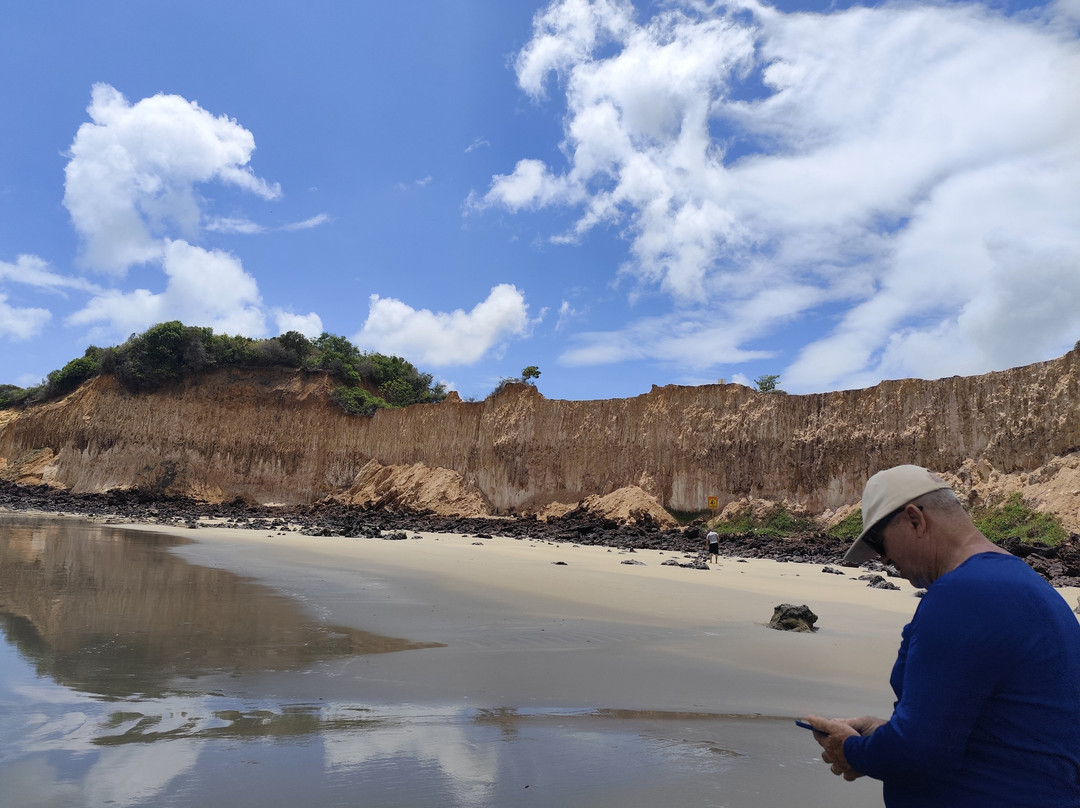 Cotovelo Beach景点图片