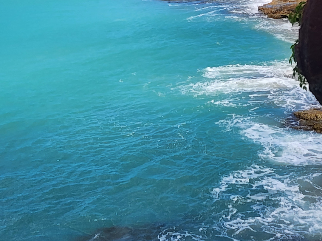 Fat Tire Electric Bike Tours-安提瓜必去景点