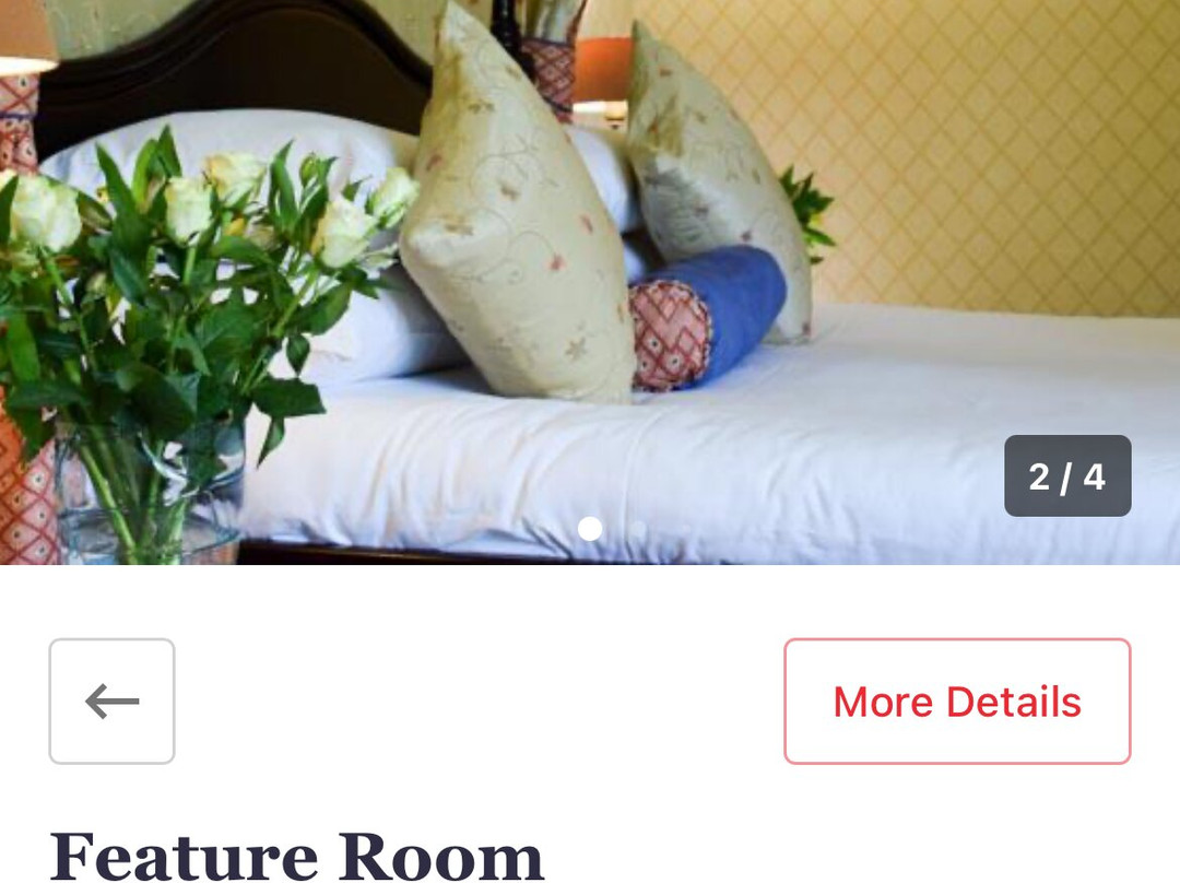 The Green Hotel主图