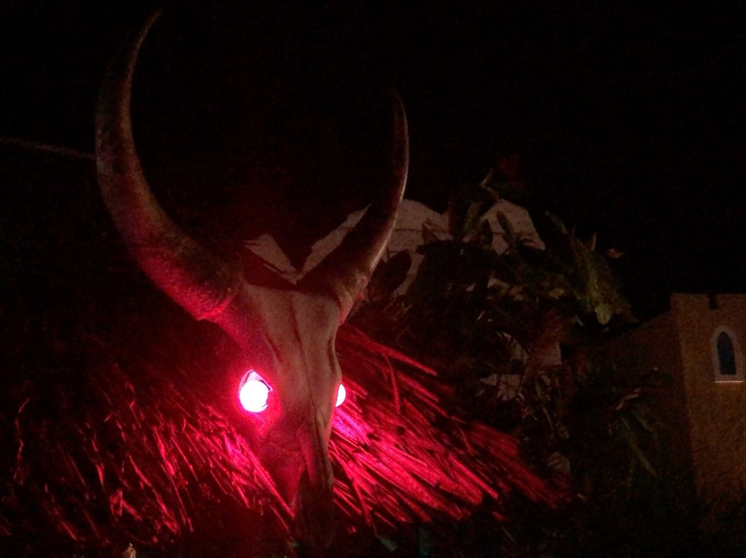 Friday Wild Party-Pwani Mchangani必去景点