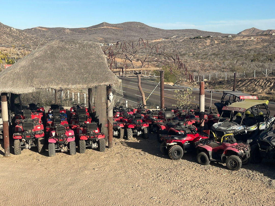 Amigos Activities-卡波圣卢卡斯必去景点