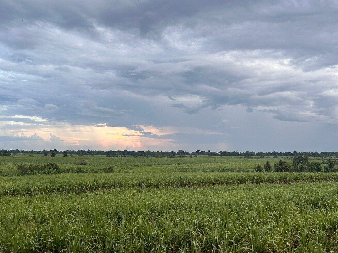 大象之迹酒店主图