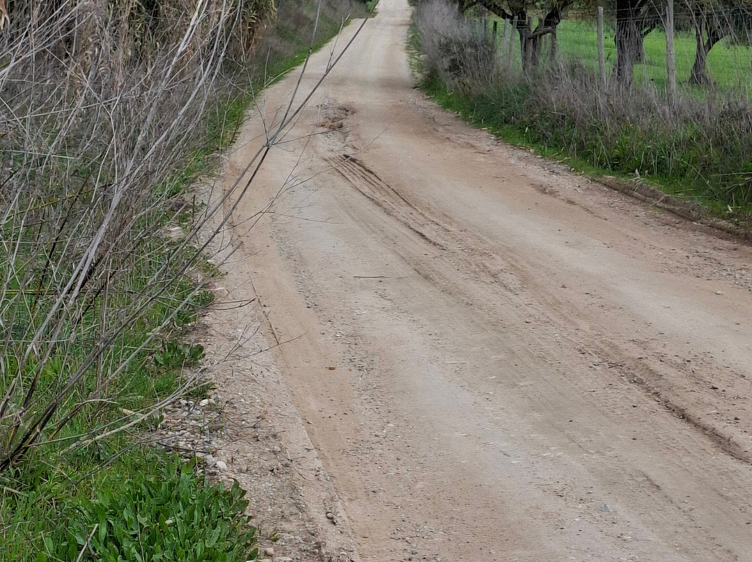 Sleep & Nature Hotel主图