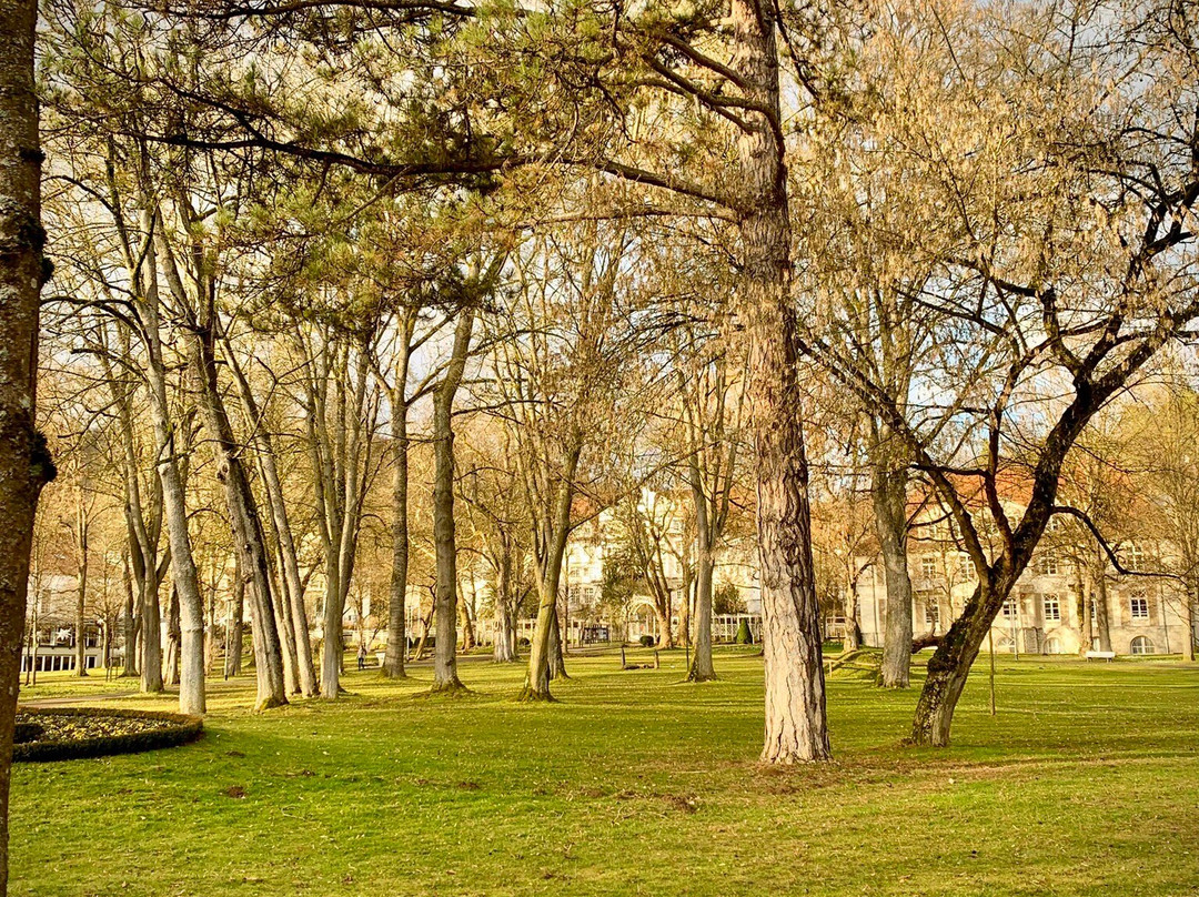 Kurpark景点图片
