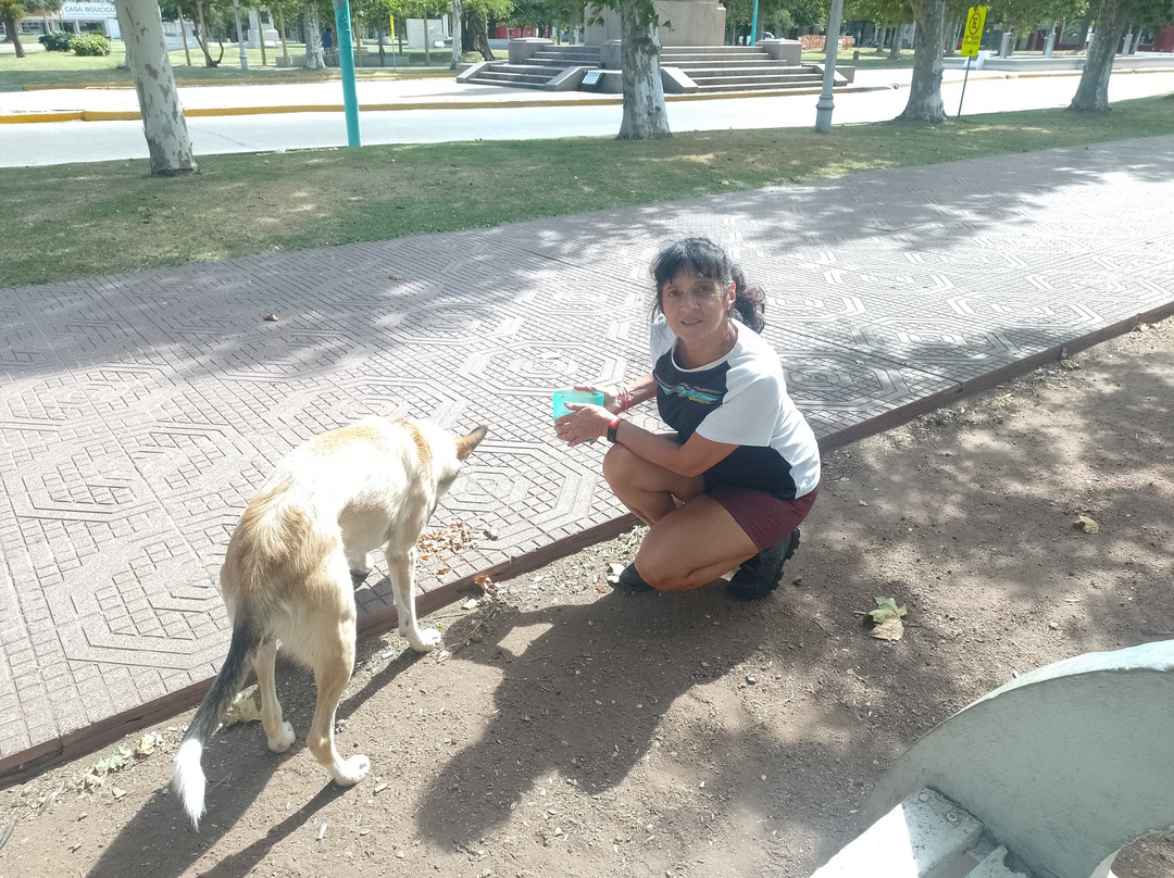 Plaza Simón Bolívar-San Carlos de Bolivar必去景点