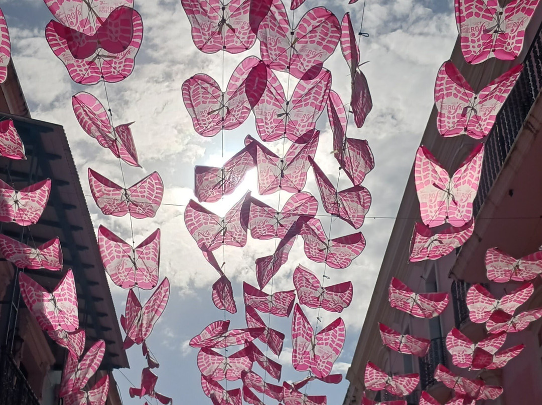 Verdanza Hotel主图