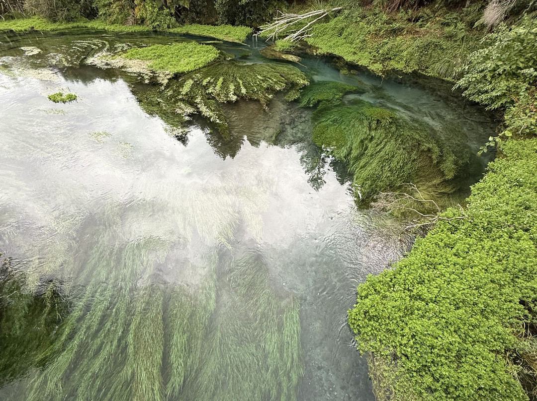 Blue Spring-普塔鲁鲁必去景点