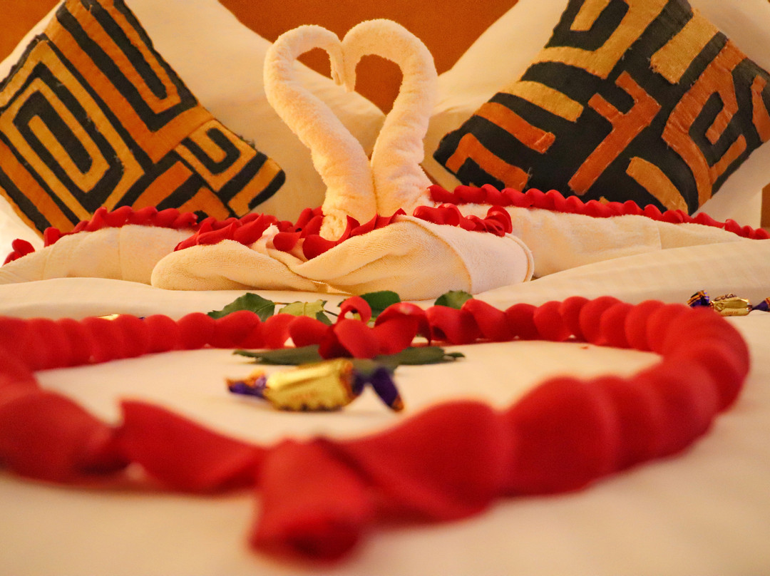 Acacia Tree Lodge主图